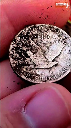 Why Everyone Uses the Minelab Equinox 900 🔥
