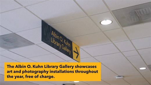 There are volumes of what we can tell you about the Albin O. Kuhn Library & Gallery: UMBC, but we wanted to show you instead! Take a peek at the many resources available to you, including study rooms, equipment rentals, and more! | UMBC