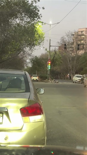 Red Light? Green Light? 🤔 Says: Sab Chalta Hai! 🚦😂