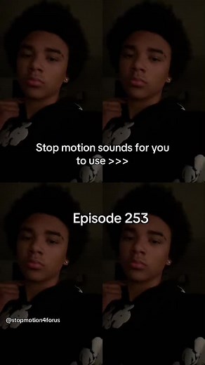 Engaging Stop Motion Conversations in TikTok Videos