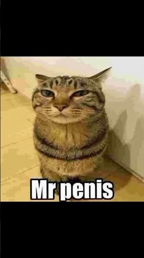 #memes #мем #мемы mr penis