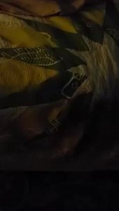 KO E TALATALANOA 'A E VAIVAI, KI HE TUPU'ANGA E KAKAI 'O E MOTU KO 'ATA. 'ILO AI HONAU KAKAI MO E FEITU'U NE NA U O ATU MEI AI MO NOFO KIAI 'I TONGA. | Tonga Political Intellect