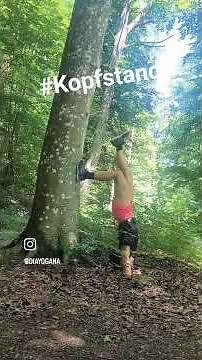 Kopfstand lernen: Deine erste Übung am Baum im Wald!
