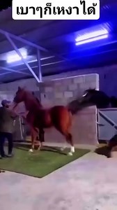 #wow | Alh Oluwatoyin George