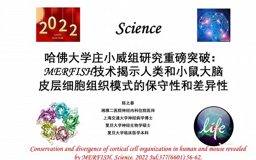 Science—哈佛大学庄小威组研究重磅突破：MERFISH技术揭示人类和小鼠大脑皮层细胞组织模式的保守性和差异性