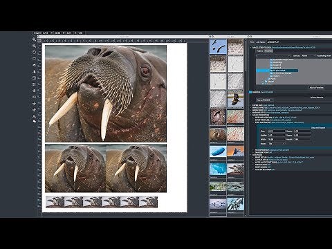 IMAGEPRINT by Colorbyte Software with John Pannozzo Part 2 of 2