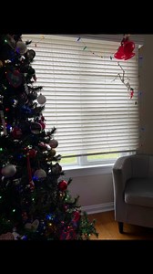 Our version of Elf on the Shelf with Stop Motion Skeleton😁 #christmastree #christmascountdown #Christmas #christmasdecor #elfontheshelf #stopmotion | Skeletons on Kerth Road