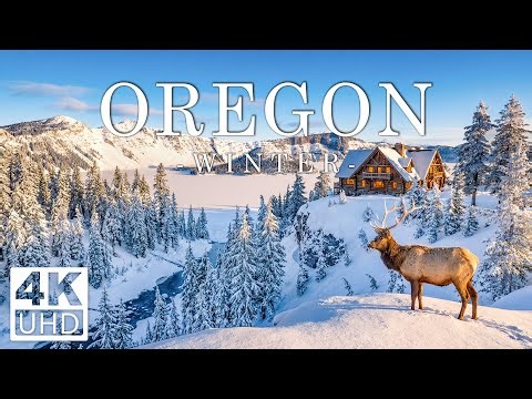 Oregon 4K - Winter Wonderland of Snowy Trails, Misty Forests & Frozen Waterfalls