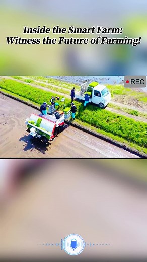Inside the Smart Farm: Witness the Future of Farming!#foryou#fyp#foryoupage#ModernAgriculture#SmartFarming#MachineControlled#EfficientPlanting#HighTechFarm