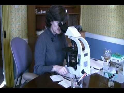 PREPARE A SOIL SAMPLE (part 2) - INTRODUCTION TO SOIL MICROBIOLOGY by Dr. Elaine Ingham