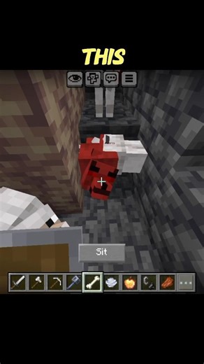 The RAREST Wolf in Minecraft?! 🐺🤯