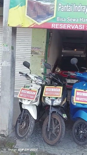 penginapan Limasan Mbah Darmo pantai Indrayanti Tepus Gunungkidul