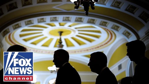 WATCH LIVE: Senate to vote on government funding deal to end shutdown - Main Stream Videos