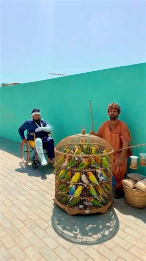 garib ka nuqsan kar dia 🙀 😢 😢