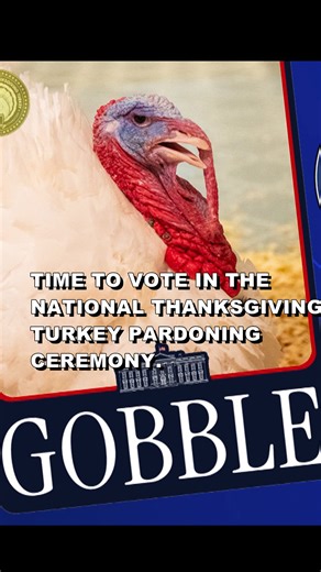 Vote which turkey will get a Presidential Pardon