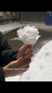 2.9M views · 68K reactions | Snowy rose tutorial...