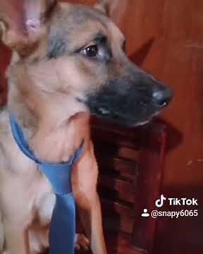 Un monstruo de bajo de mi cama 😨