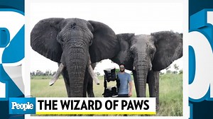 The Wizard of Paws Is Back on the Road Helping Pets Walk Again and 'Making Families Whole'