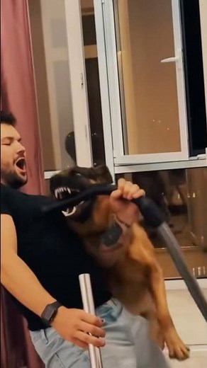 Dogs protecting their owners. When a dog steps up to protect, it’s about loyalty, instinct, love.