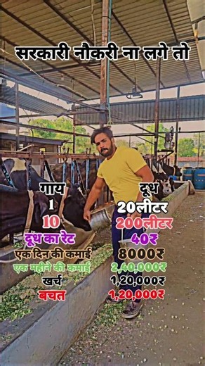 cows in india for dairy farming,how to start dairy farm business#shorts #baffalo #farming #farm #cow