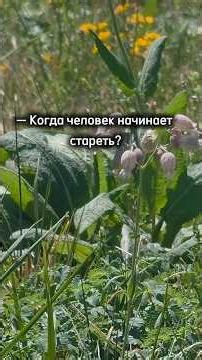 #мудрость #осознанность #психология #рассказ #жизнь #саморазвитие ##внутренниймир #природа