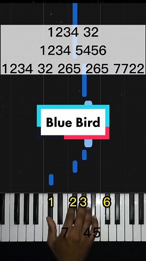 How to Play Blue Bird on piano BEST EASY version 🔥🔥#serietheme #music #pianoeasy #partitions #pianosoin #easypiano #naruto #bluebird