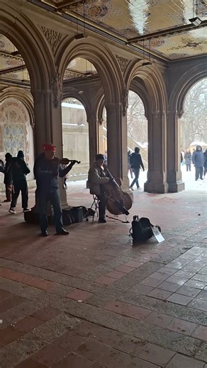 classical busking in New Yorks central park