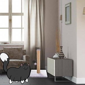 Cats Protection on Reels