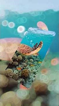 “You’ve probably never seen these animals before…”