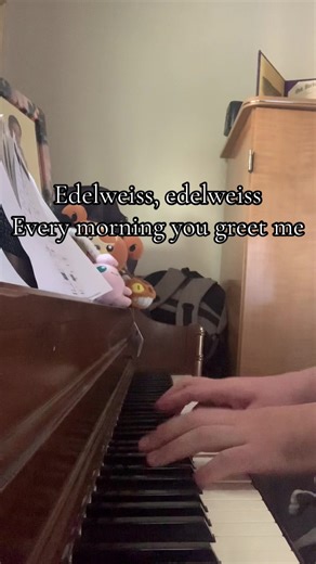 #thesoundofmusic #edelweiss #piano #karaoke #fyp | Piano