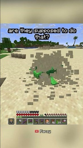 pov: turtles in minecraft