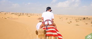 Best Desert Safari in Dubai: Rayna Tours & More - MyBayuta