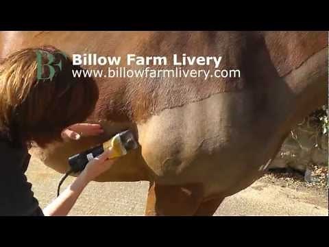 How to Clip - Trace Clip (Low and High)