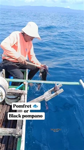 Pomfret , Black pompano 🐟 #fishing #fish #pomfret #pomfretfish #fbreels2025ツ | Roger Tolibas