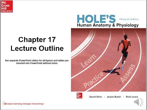 Holes Chapter 17 Digestive system first 29 slides ending at the stomach