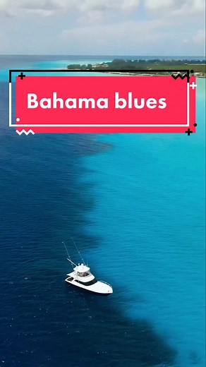 Look at that drop off! #drone #NeverStopExploring #oceantreasure #fypシ | drone