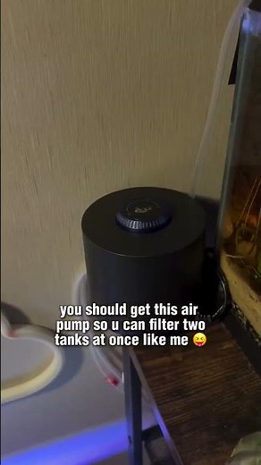 LOVE THIS THING! New Air Pump Installed 🔥 #AQQA #aquarium #fishtank