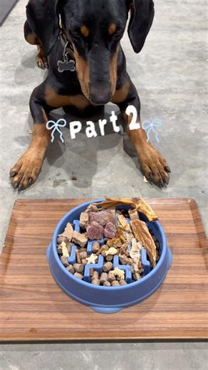 Make my Doberman dinner part 2 | Doberman eats animal feet!
