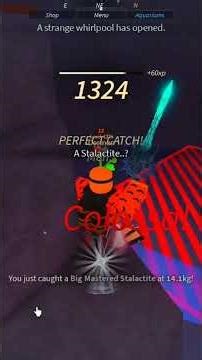 fishing the fish on the wheel in fisch