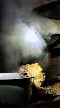 cold start on ford Excursion v10 6.8 #automobile