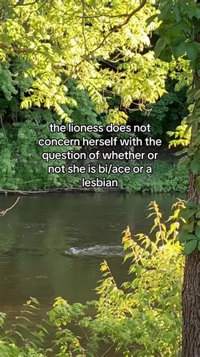 Understanding Identity and Employment in Modern Contexts