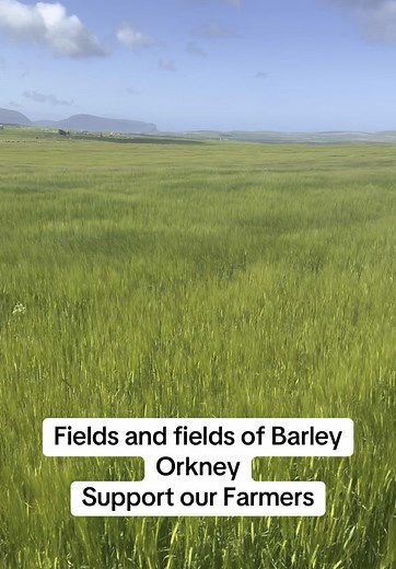 #britishfarmers #farmers #orkney #agriculture #visitorkneyislands