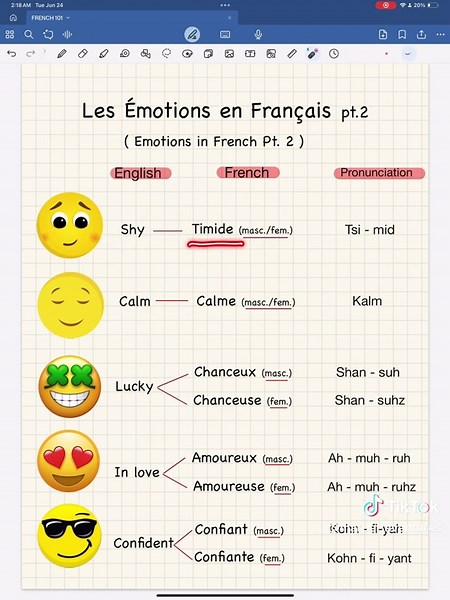 Mastering Emotions in French: Part 2 Learning Guide