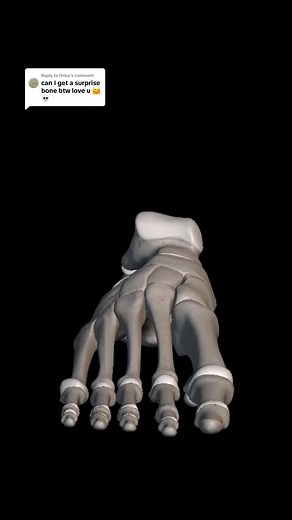 Replying to @finley foot bone!!!! #feet #foot #bones #anatomy #footpain #footpainrelief