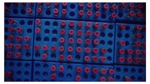 32K views · 39 reactions | The World’s Best Multivitamin Programs! GNC Vitapak® Program  • August 28th to October 29th: GET UP TO 30% OFF GNC Vitapak® Program. Find a store near you: https://gnc.ca/find-a-store/ • #gnccanada #vitapak #vitamins #feelgood #multivitamin #multivitamins #womenshealth #menshealth | GNC Canada | Facebook