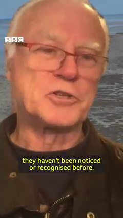 41K views · 919 reactions | This is how 40 million trees in Australia mysteriously died. https://bbc.in/3w4xxPs | BBC News | Facebook