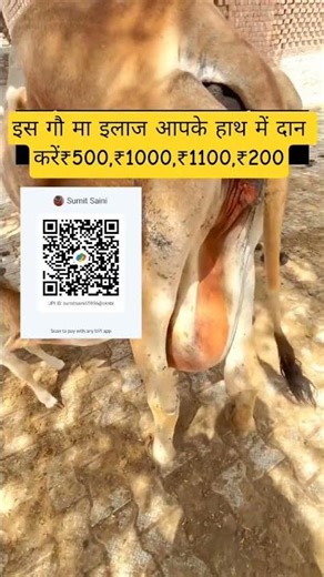 ek chote se sahyog me apka kuch nhi jayga ho sake to jaror daan kare ₹1000,₹200,₹100,₹500 #humanity