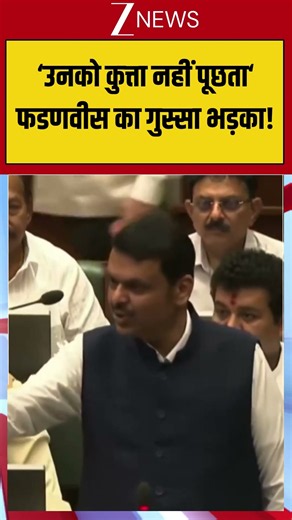 CM Devendra Fadnavis Angry Speech: उनको कुत्ता नहीं पूछता फडणवीस का गुस्सा भड़का!