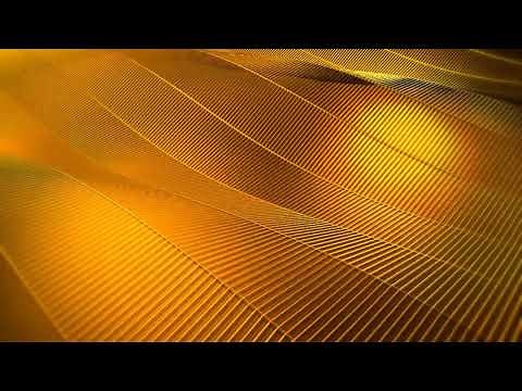 Animated Golden Yellow Waves Background Video