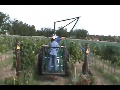 Importance of Netting and Proper Technique